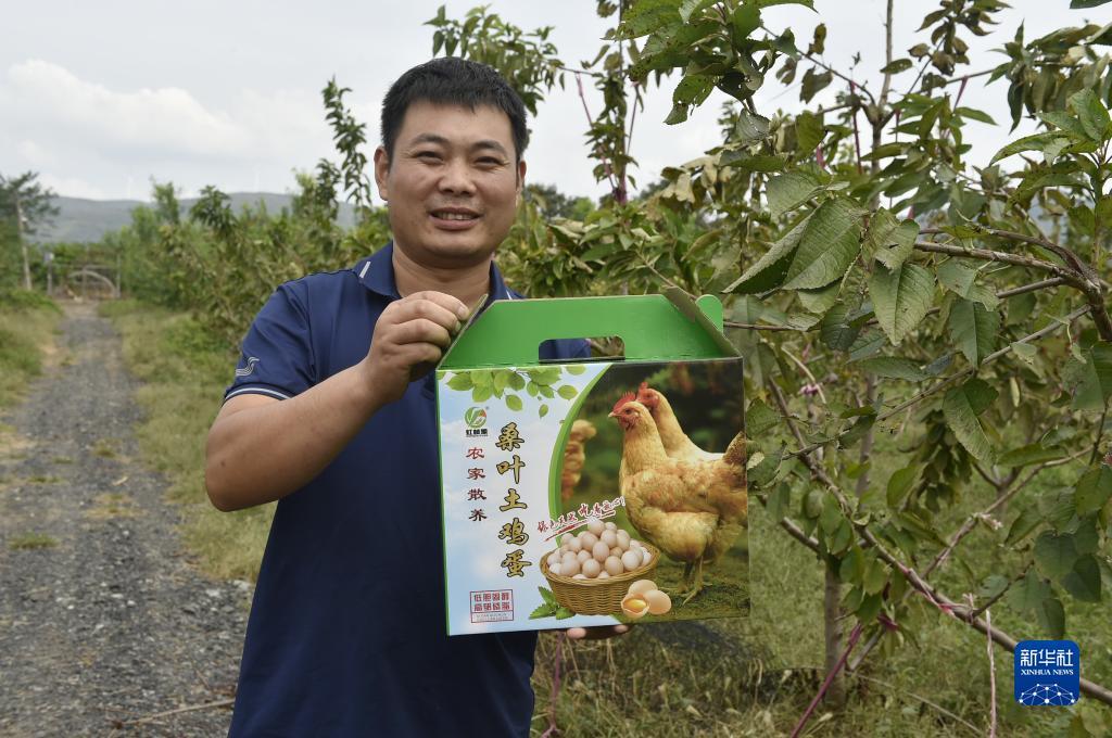 免费彩金领取